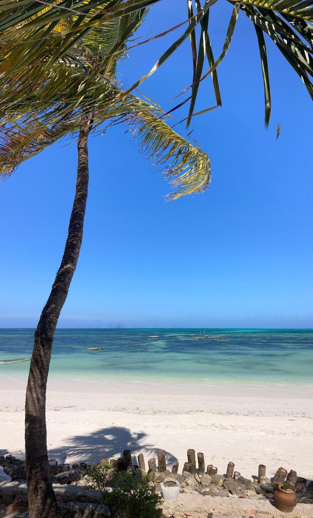Mango Beach House Jambiani  Dış mekan fotoğraf