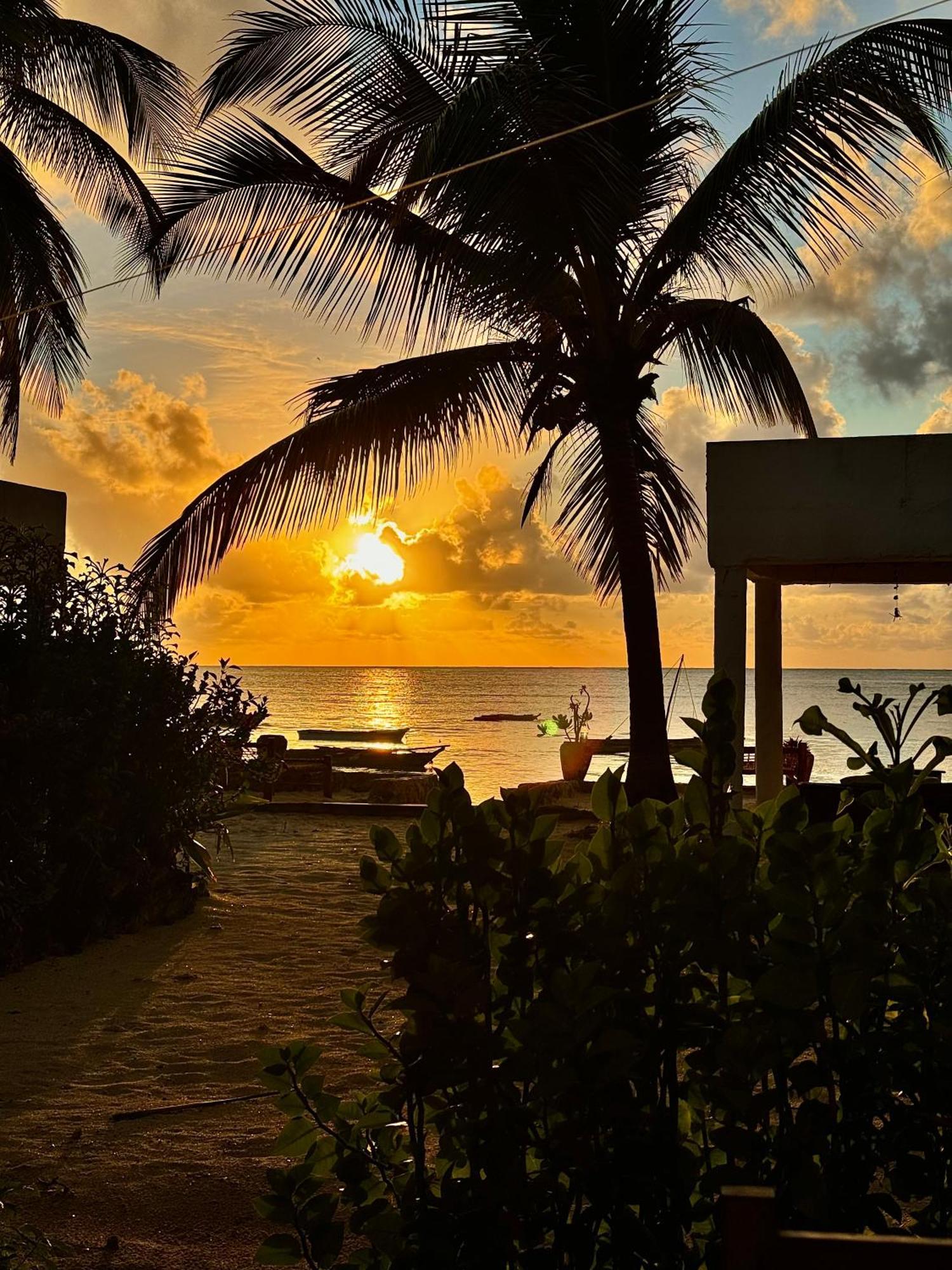 Mango Beach House Jambiani  Dış mekan fotoğraf