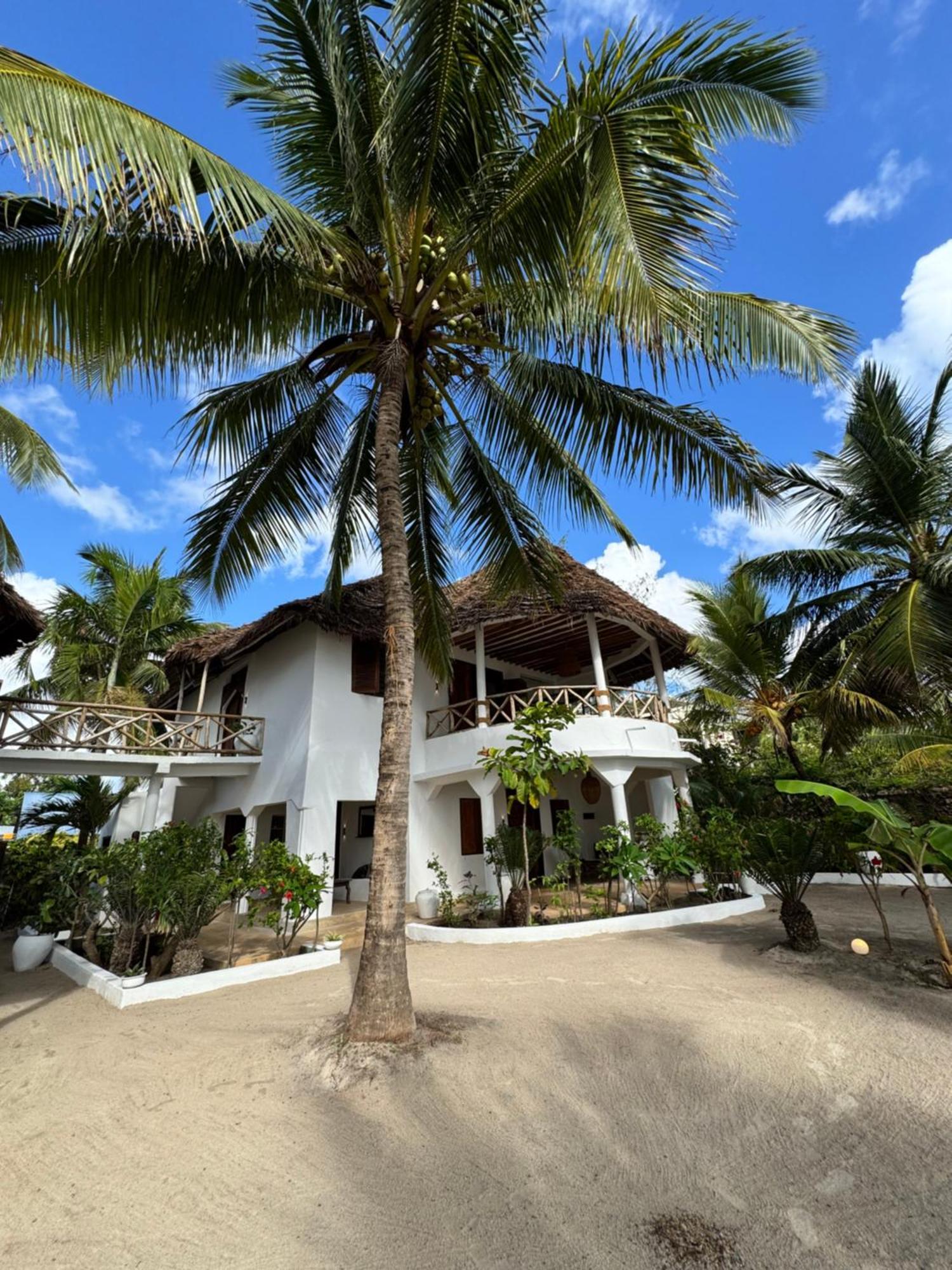 Mango Beach House Jambiani  Dış mekan fotoğraf
